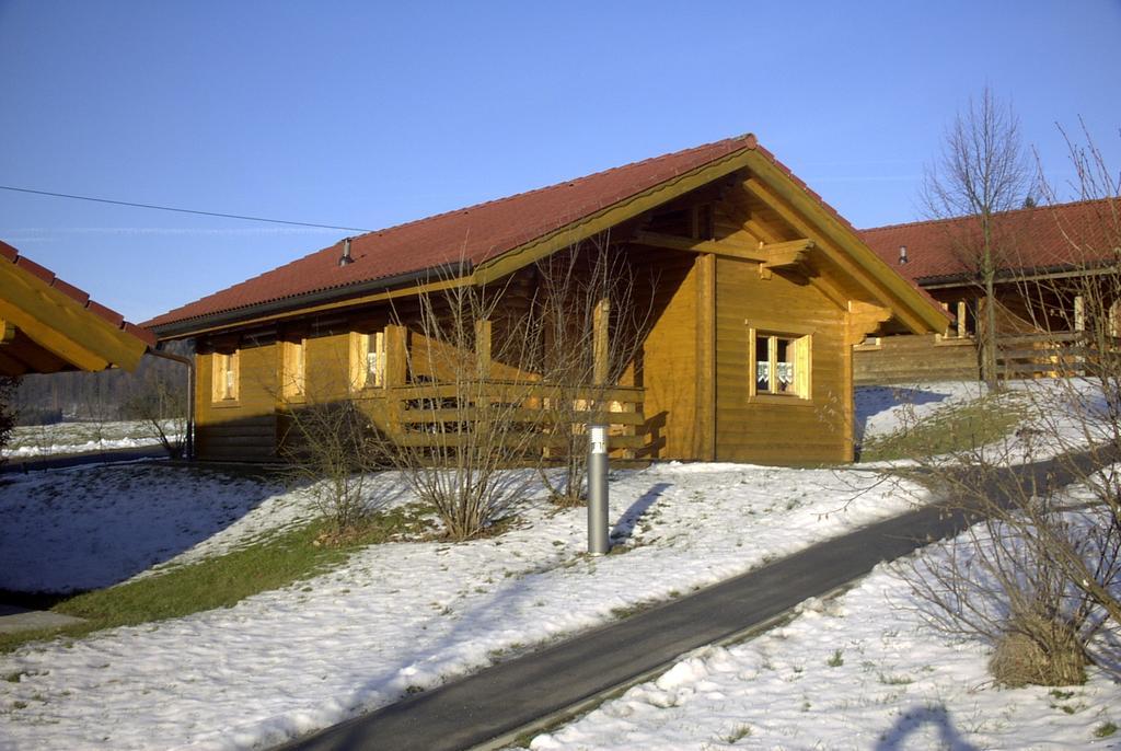Blockhaus Bayerischer Wald Stamsried Exteriör bild