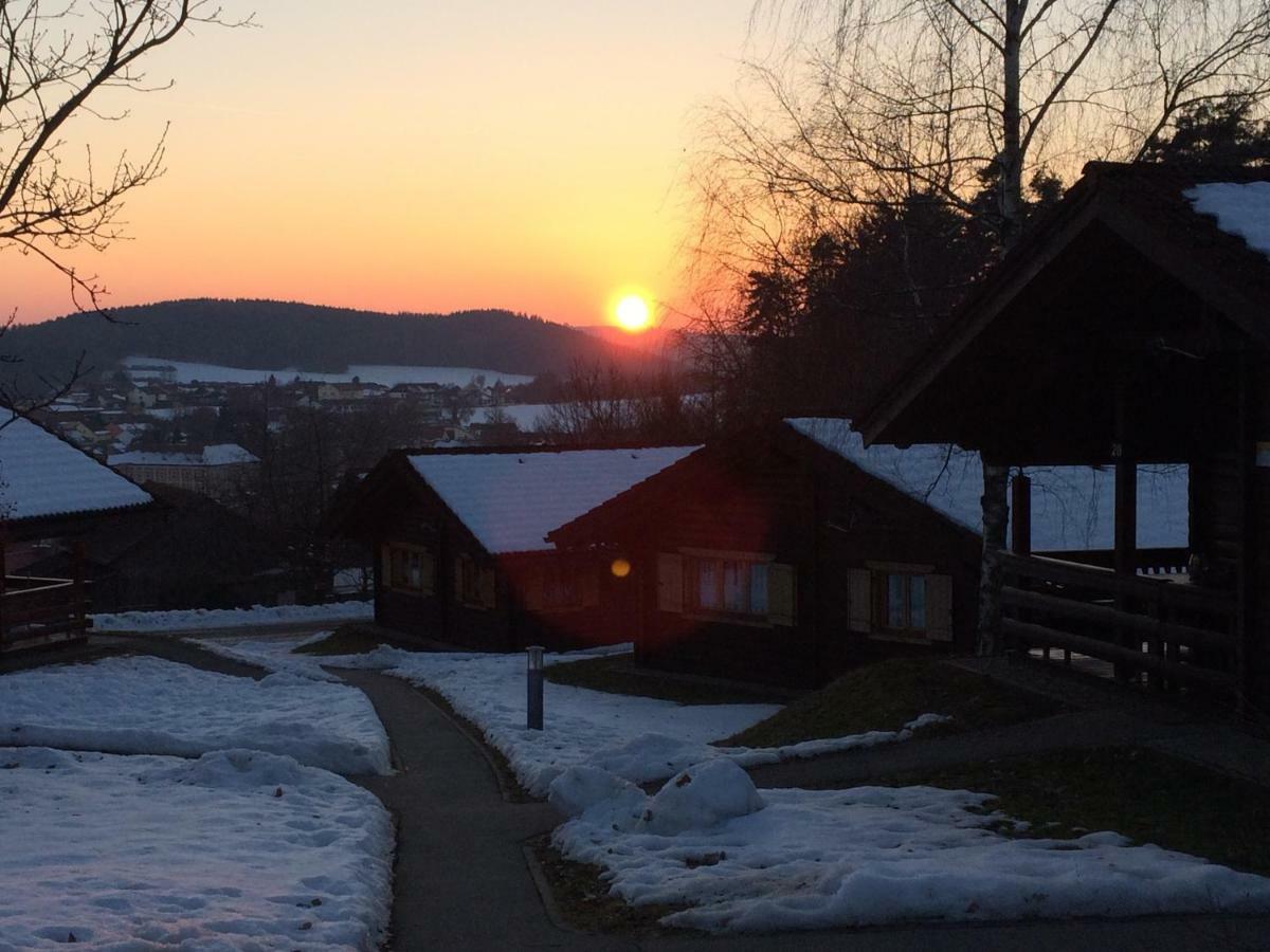 Blockhaus Bayerischer Wald Stamsried Exteriör bild